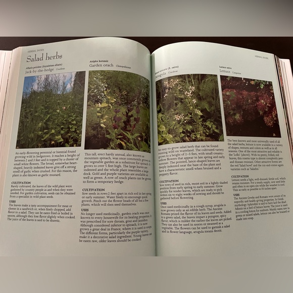 The Complete Book of Herbs (1988) - Picture 4 of 10